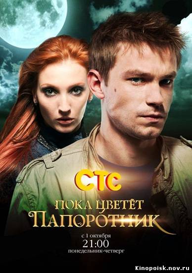 Пока цветет папоротник (2012) смотреть онлайн - 12-13 серия