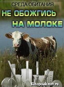 Среда обитания / Не обожгись на молоке (2012)