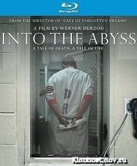 В бездну / Into the Abyss / 2011