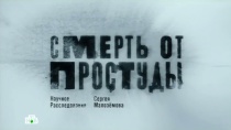 «Смерть от простуды». Научное расследование Сергея Малозёмова