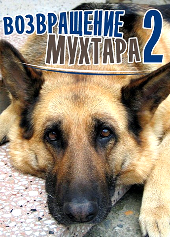 Возвращение Мухтара-2. 10 сезон 5 серия 6 серия  2...