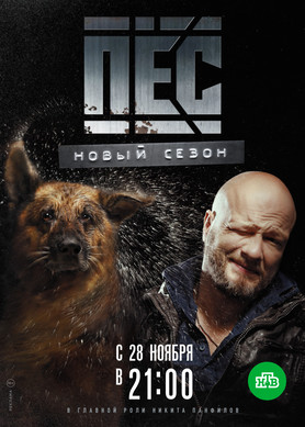 Пес 5 сезон 13 серия "Закон есть закон" 18.12.2019