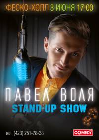 Сольный концерт Павла Воли